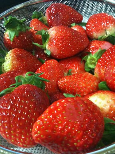 딸기덕후 - 딸기를 사왔다.