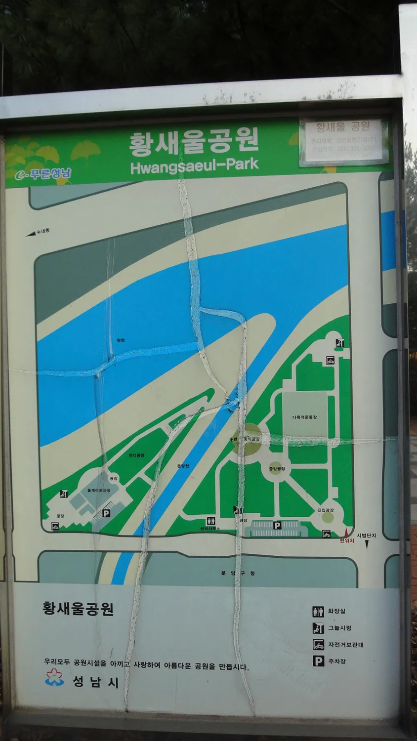 아침산책 - 탄천