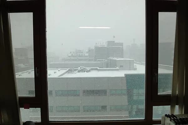 100104 - 흰눈이 폭탄 되는 나~~아~~알. 흰 눈이 지랄 같은 나~~~아~~알