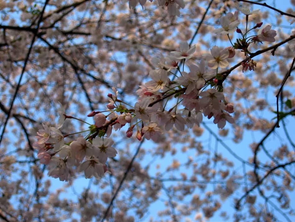 090405 - 조금 빡신 산책*-_-*