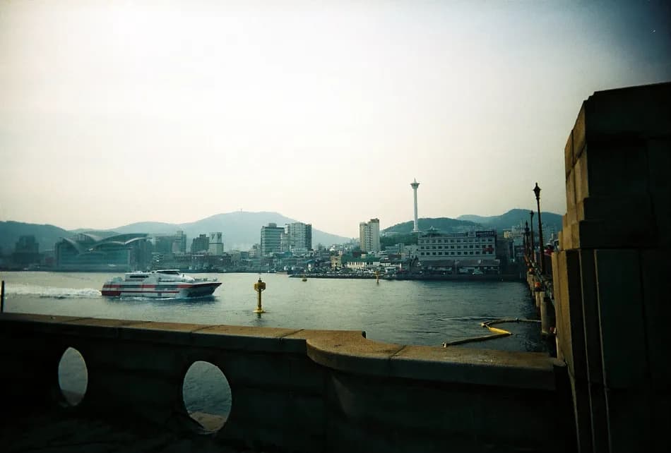 Eximus - 보다. 見