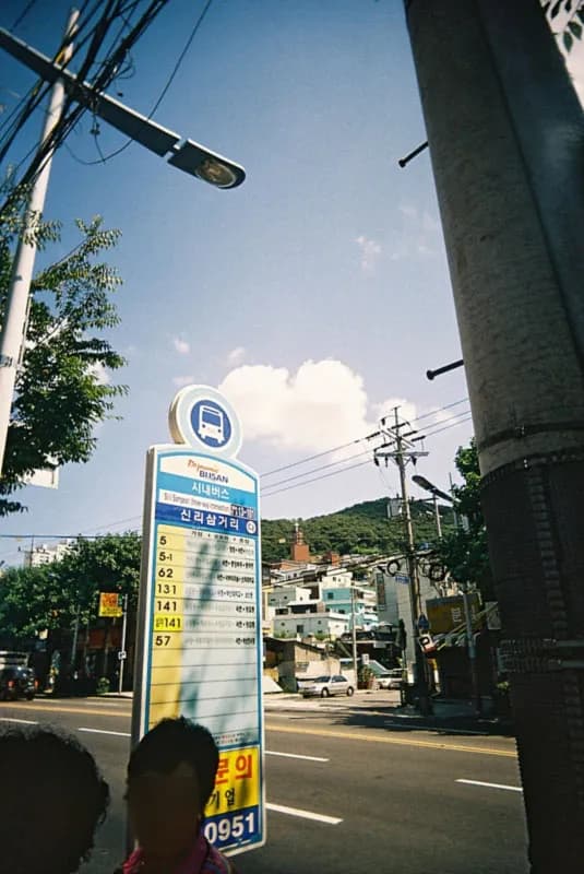 남포동, 용두산 공원, 영도다리