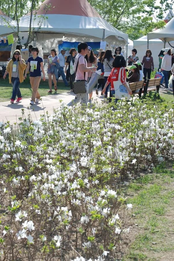 20110514 그린플러그드