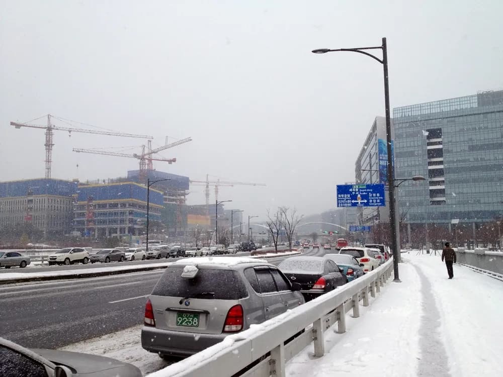 하얀나라를 보았니