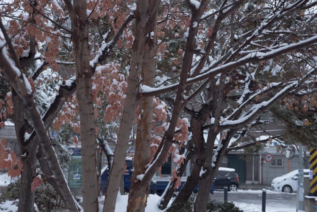 171210 - 눈 오던 한적한 일요일 아침