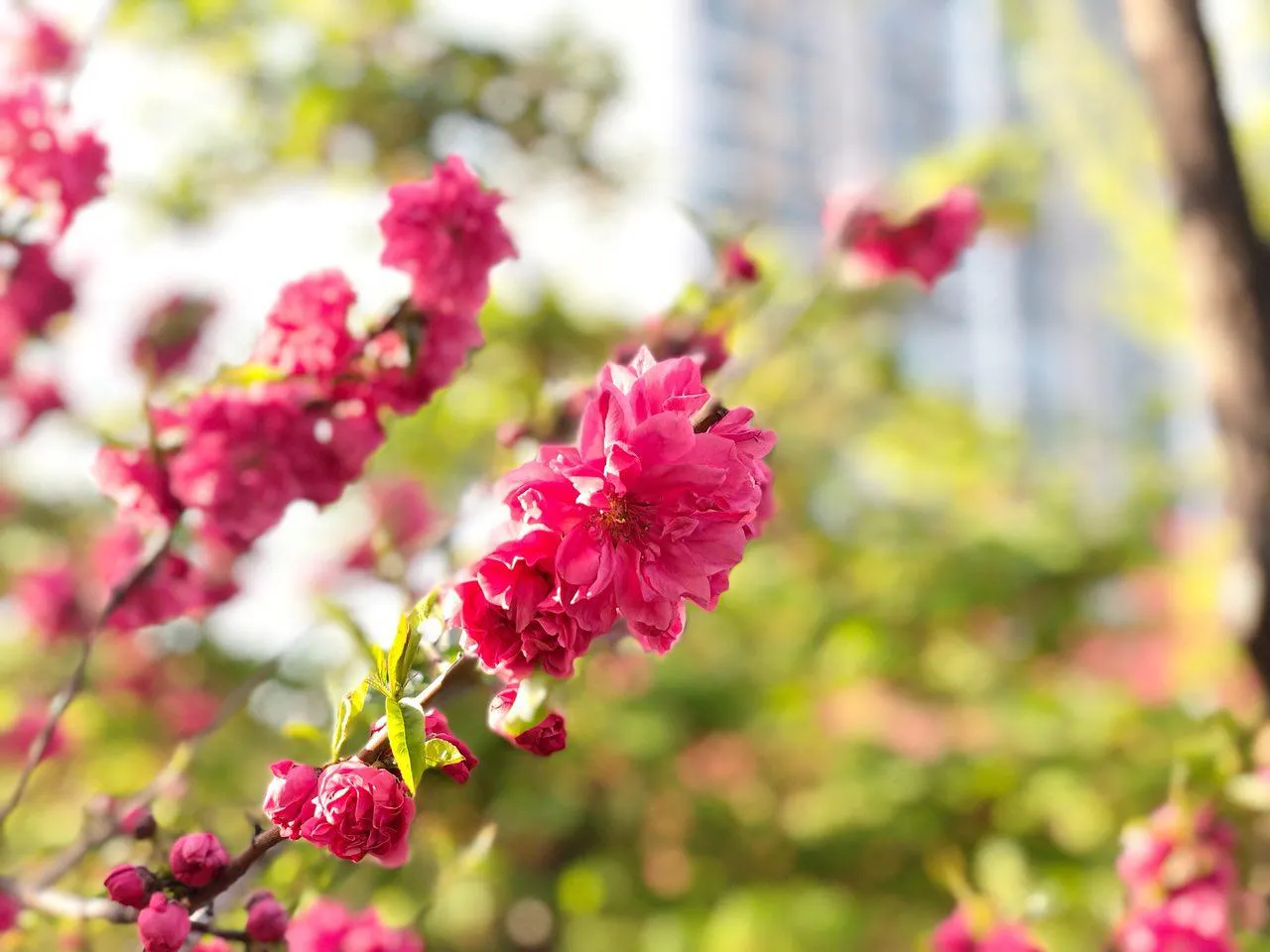 180416 - 동네 한바퀴