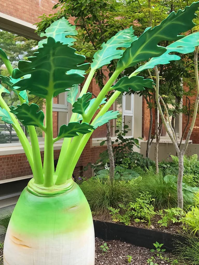 프랑수아 알라르 : 비지트 프리베 사진전 @ 피크닉