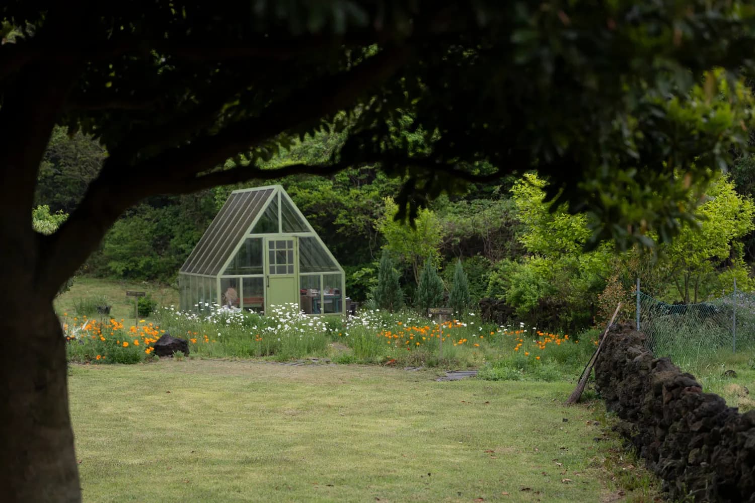 20230429 - 제주 출사 1일차