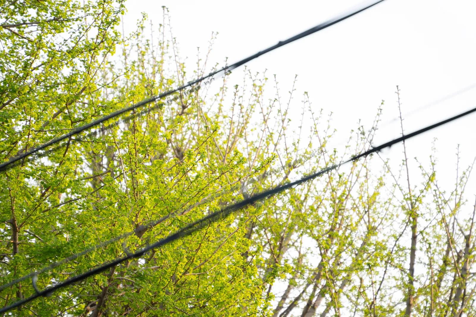 노을 빛과 함께한 산책