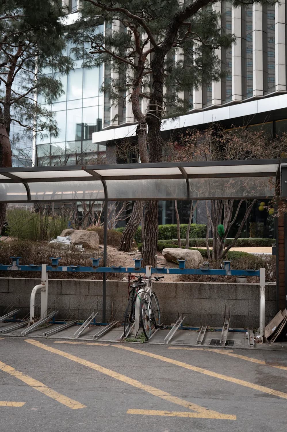 눈 오는 봄날 산책