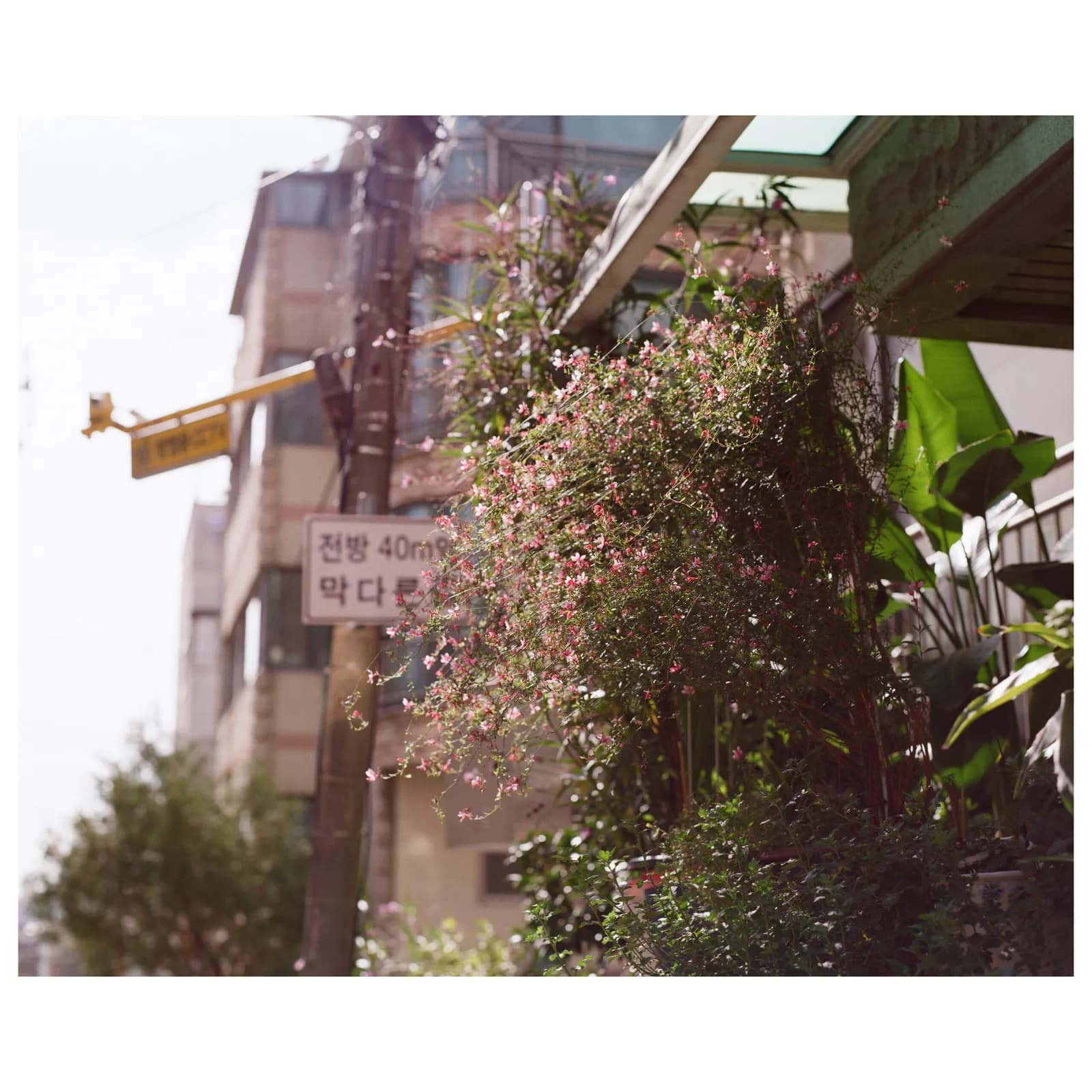 더 이상 앞으로 갈 수 없다고 느낄 때